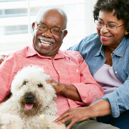 Older couple playing with their dog