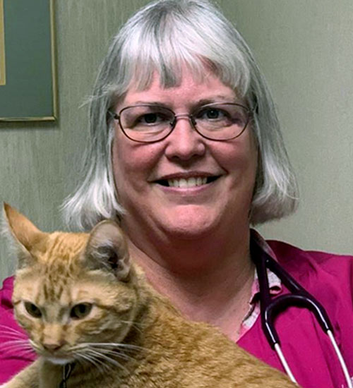 Dr Lyn Johnson