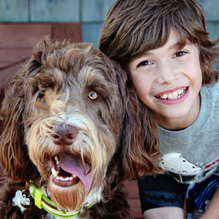 Boy playing with dog