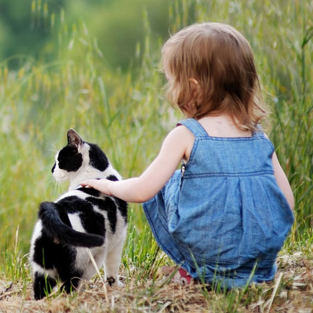 Little girl and cat playing outside